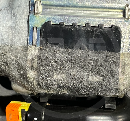 Audi Q7  Sicherheitsgurte hinten