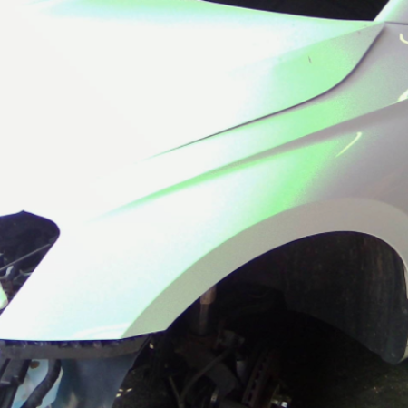 Skoda Fabia  Kotflügel vorn