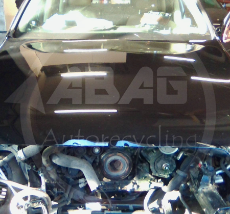 Audi Q7  Motorhaube
