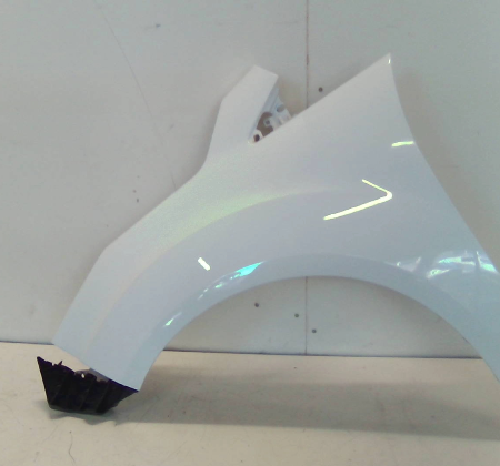 Ford C Max  Kotflügel vorn