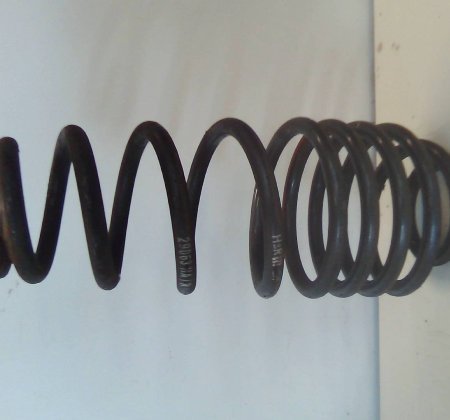 Ford Mustang  Federn hinten
