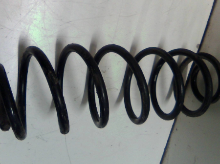 Ford Fiesta  Federn hinten