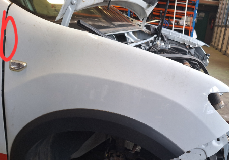 Dacia Logan  Kotflügel vorn