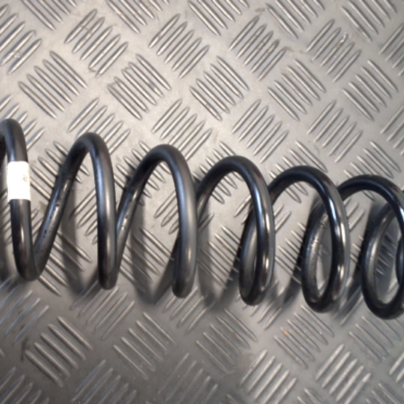 VW Passat  Federn hinten