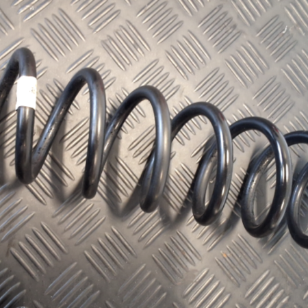 VW Passat  Federn hinten