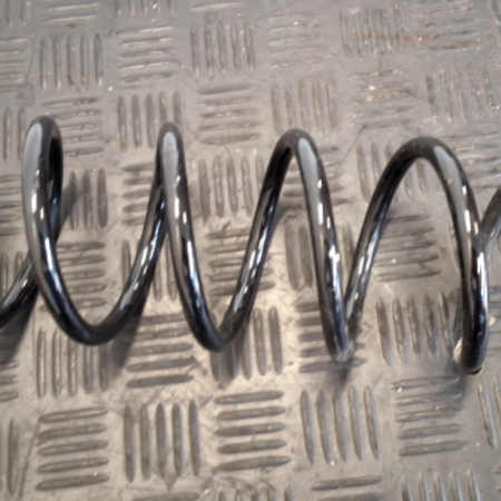 SEAT Leon  Federn hinten