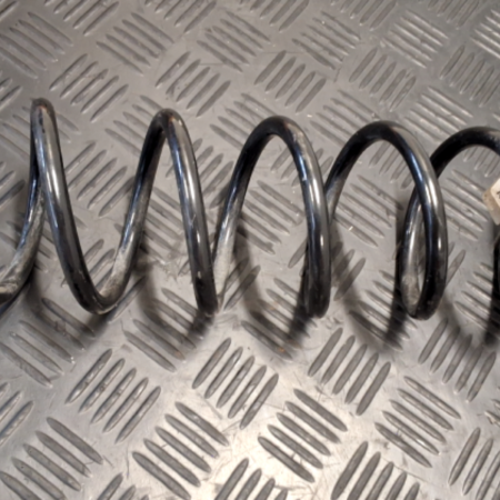 VW Golf  Federn hinten