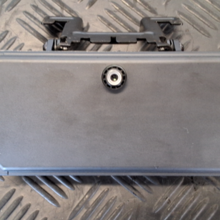 Renault Scenic  Frontkamera