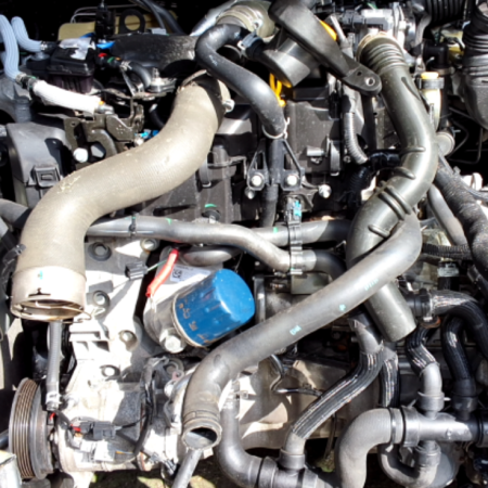 Renault Scenic  Motor