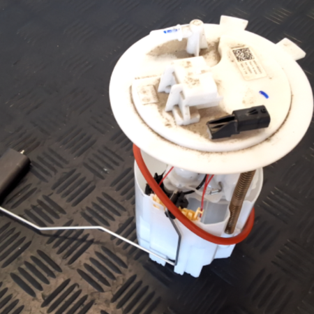 Renault Scenic  Kraftstoffpumpe Tankgeber