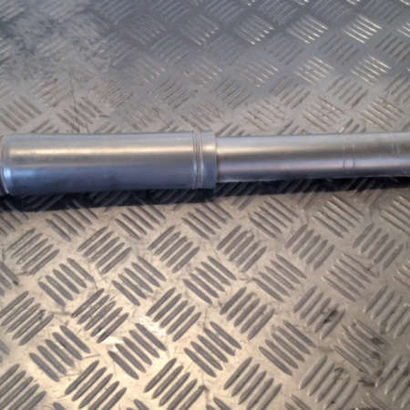 Renault Scenic  Federbein Stossdämpfer hinten