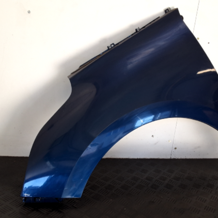 Renault Scenic  Kotflügel vorn