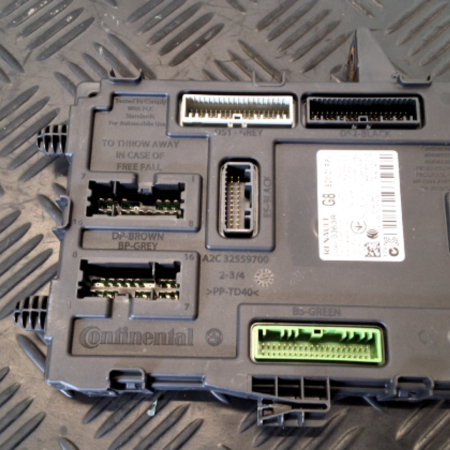 Renault Scenic  Bordnetz Steuergerät