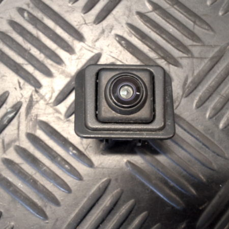 Renault Scenic  Rückfahrkamera