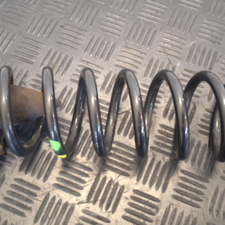 Renault Scenic  Federn hinten