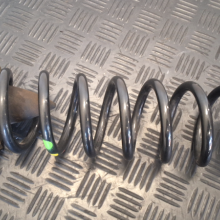 Renault Scenic  Federn hinten