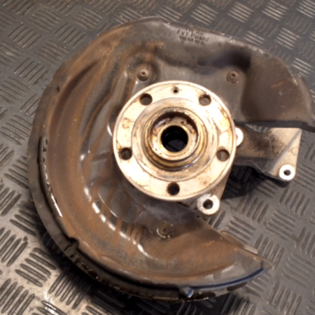 VW Tiguan  Achsschenkel hinten links