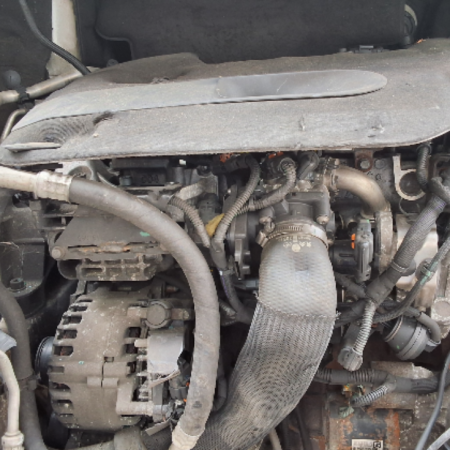 Citroen Jumpy  Motor