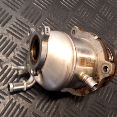 Renault Trafic  Abgaskühler