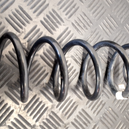 Audi TT  Federn hinten