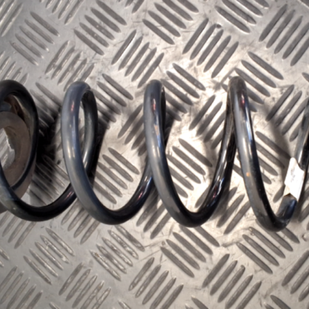 Audi TT  Federn hinten