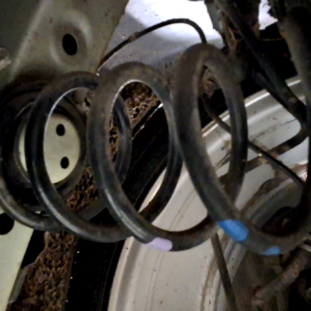 Suzuki Swift  Federn hinten