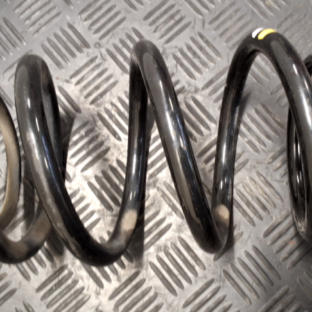 Renault Trafic  Federn hinten