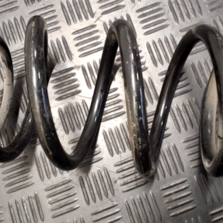 Renault Trafic  Federn hinten