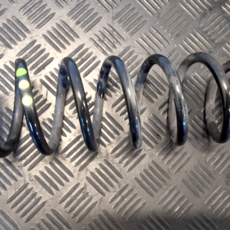 Audi Audi SQ5 Federn hinten