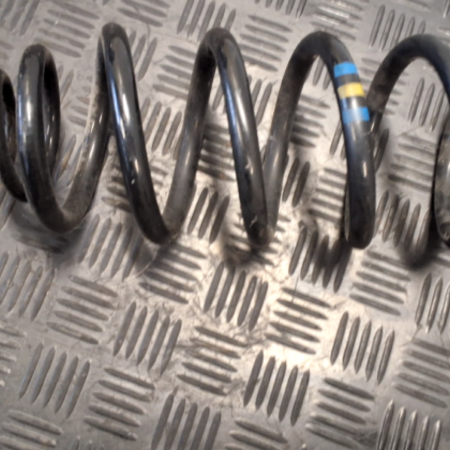 BMW X-serien X6 Federn hinten