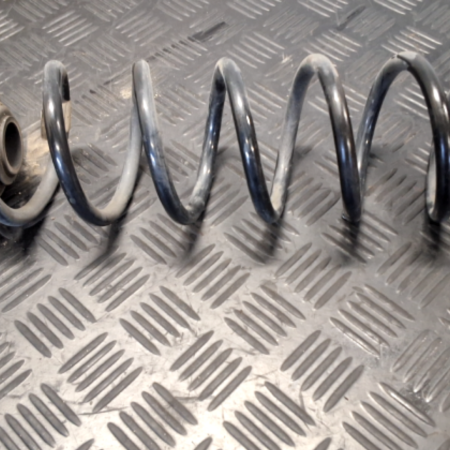 Skoda Octavia  Federn hinten