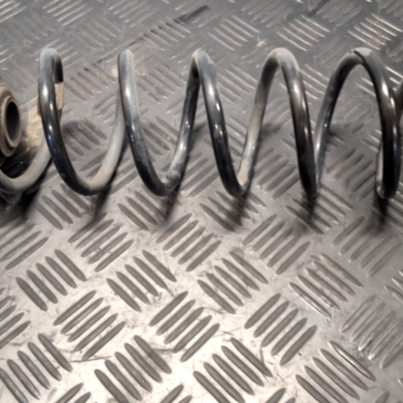 Skoda Octavia  Federn hinten