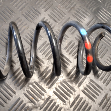 Renault  Captur Federn hinten