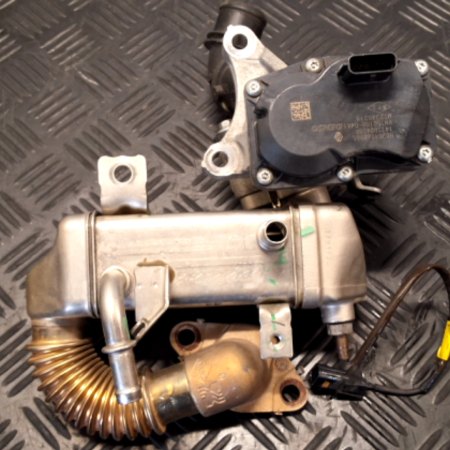 Opel Vivaro  AGR-Ventil, Reglerklappe