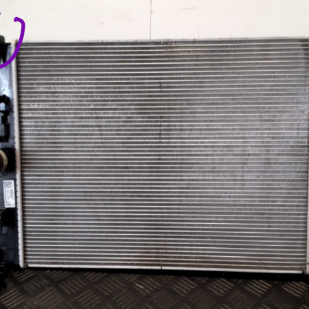 Renault  Captur Wasserkühler