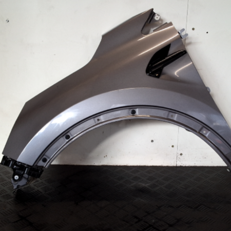 Renault  Captur Kotflügel vorn