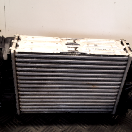 Renault Megane  Ladeluftkühler