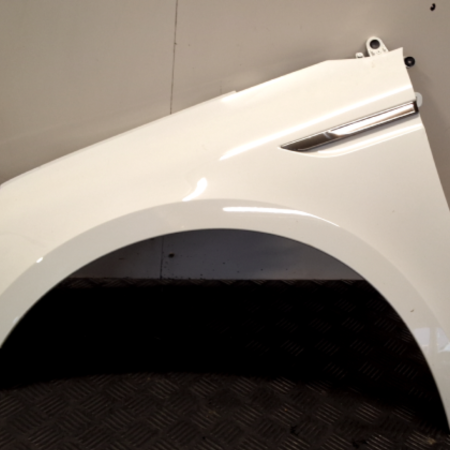 Renault Megane  Kotflügel vorn