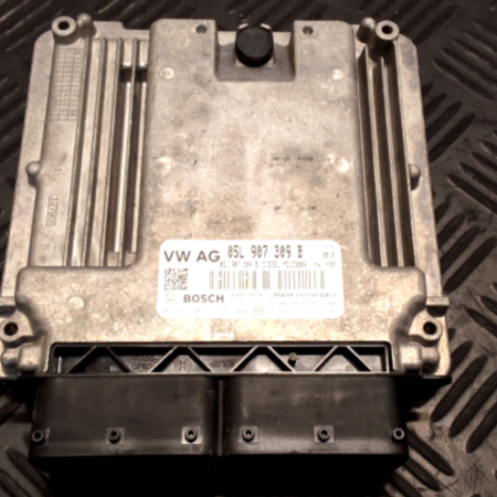 Skoda Karoq  Motorsteuergerät