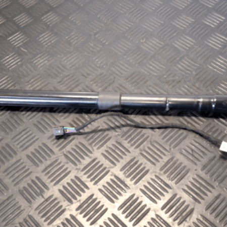 Renault Clio  Heckklappendämpfer