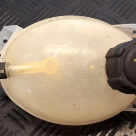 Renault Clio  Ausgleichsbehälter