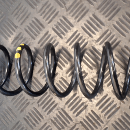 Skoda Fabia  Federn hinten