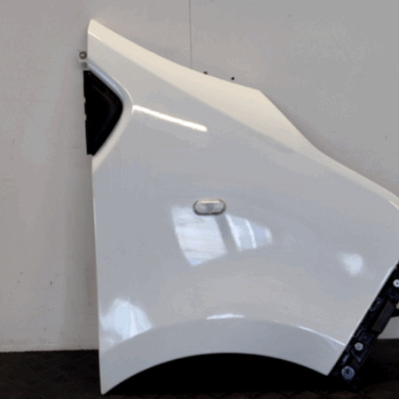 Renault Trafic  Kotflügel vorn