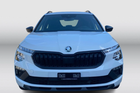 Skoda Kamiq , TMBGK6NW5T3093626