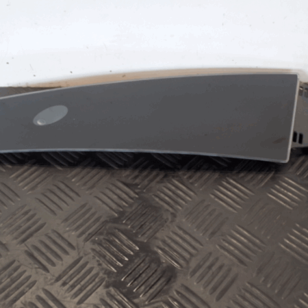 Tesla Model S  Kamera