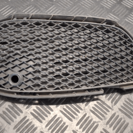 Mercedes-Benz AMG  Kühlergrill