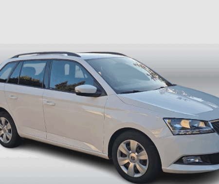 Skoda Fabia , TMBJP6NJ6PZ010719